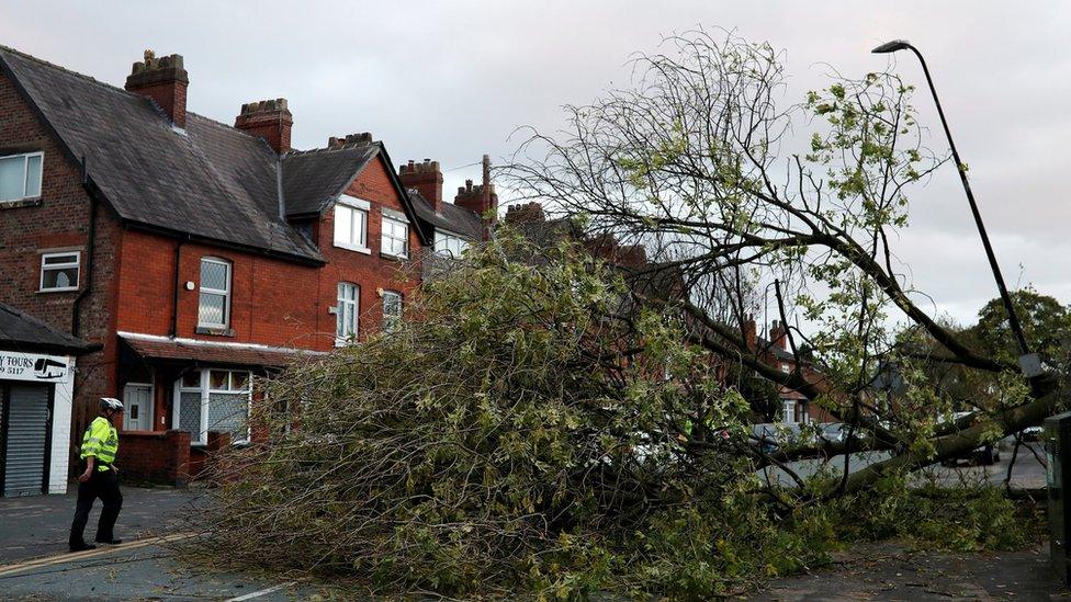 A police officer next to a tree in Sale, Greater Manchester