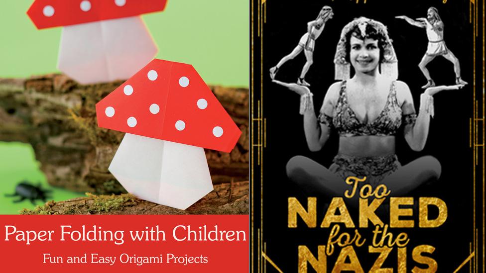 Contenders for the 2016 Diagram Prize