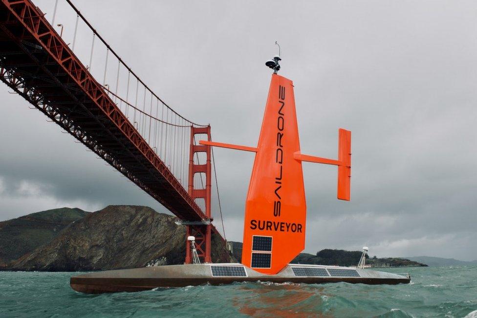 Saildrone Surveyor