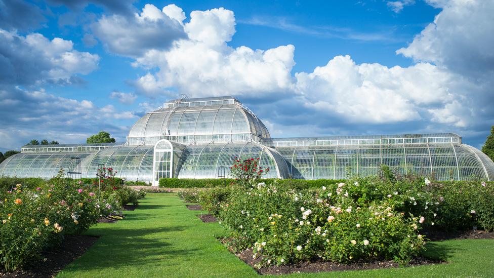 The Temperate House at Kew Gardens