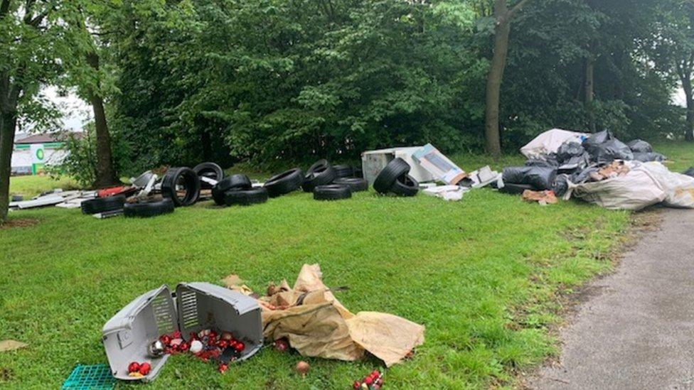 Tyres in a Birmingham park