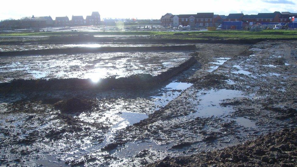 Berryfields before excavation