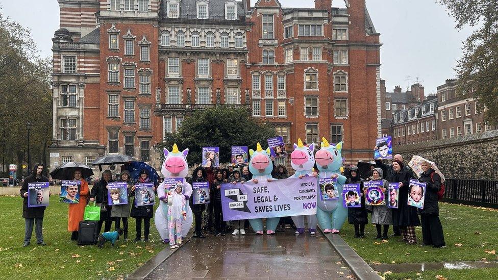 The protesters outside Parliament