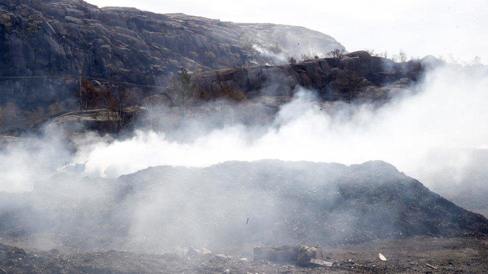 Smoke is seen in a damaged forest area after a fire in Sokndal, Norway, April 24, 2019.