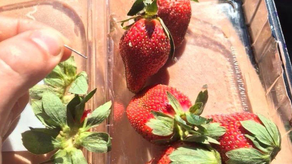 A man holds a needle found in a punnet of strawberries