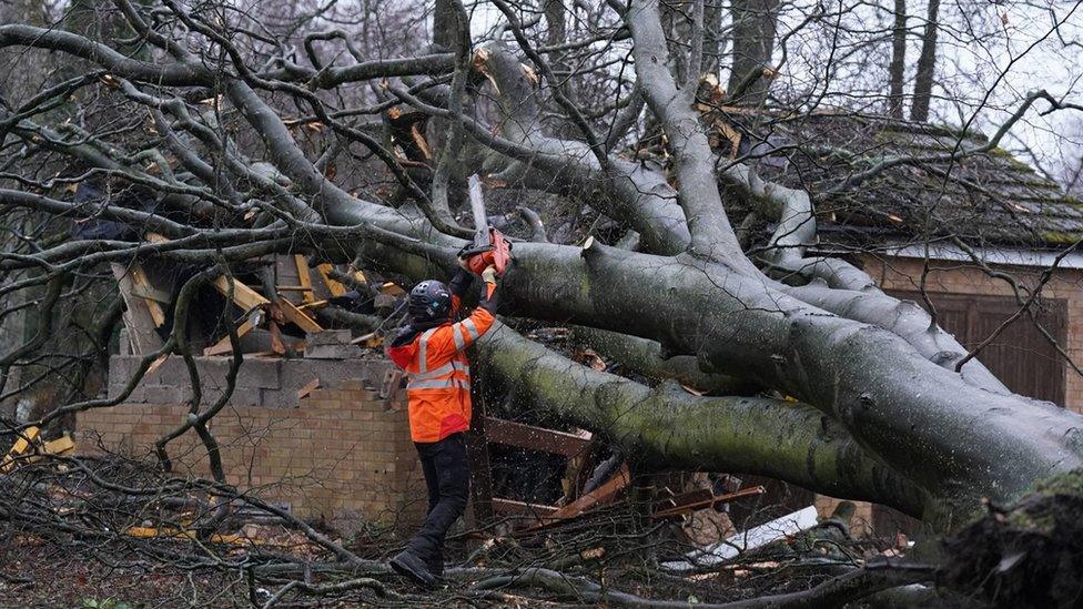 A worker in hi-vis and safety gear holding a chainsaw cuts away branches of a tree that has fallen over a brick power substation