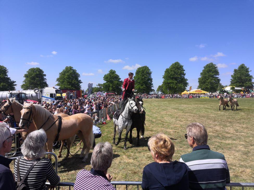 People watch pony and cart display at south suffolk show