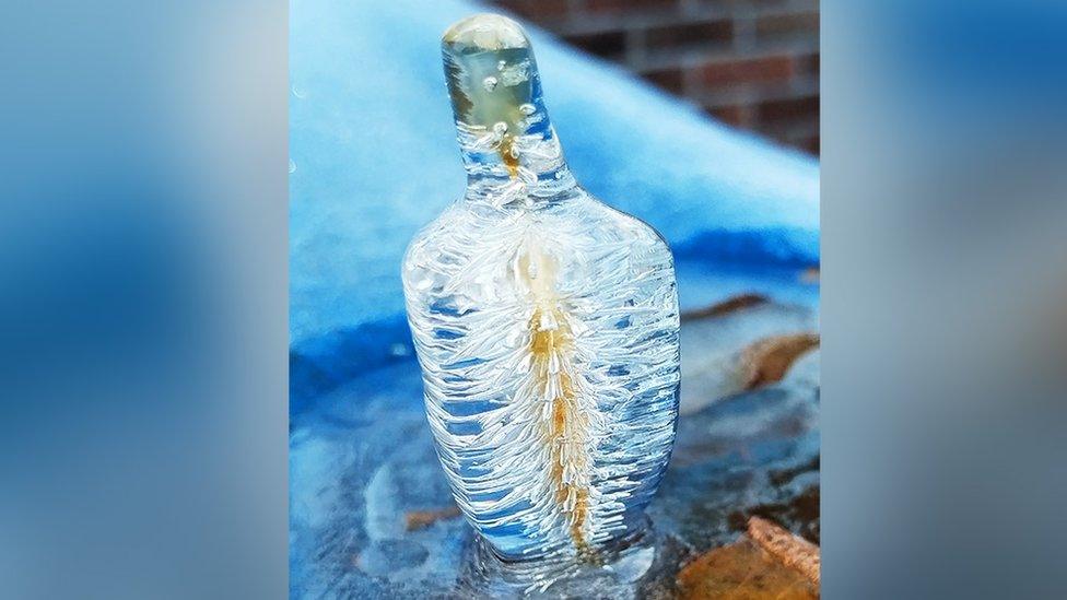 Ice spike formed with a leaf in it