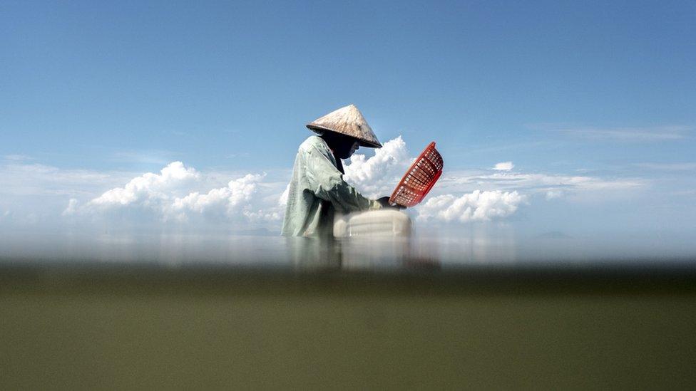 A fisherman collects shellfish from the waist deep waters of the community protected waters off the coast of Kampot Province, Cambodia