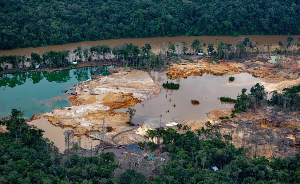 Illegal mining camp near the Uraricoera river