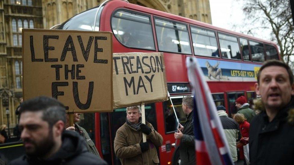 Pro-Brexit demonstrators