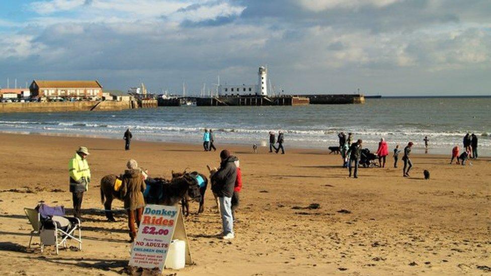 Donkeys on the beach in Scarborough