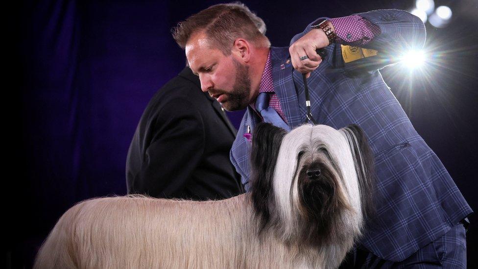 Skye Terrier and owner.