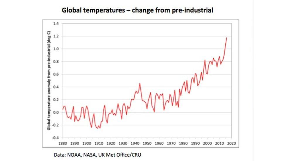 Temperature graph