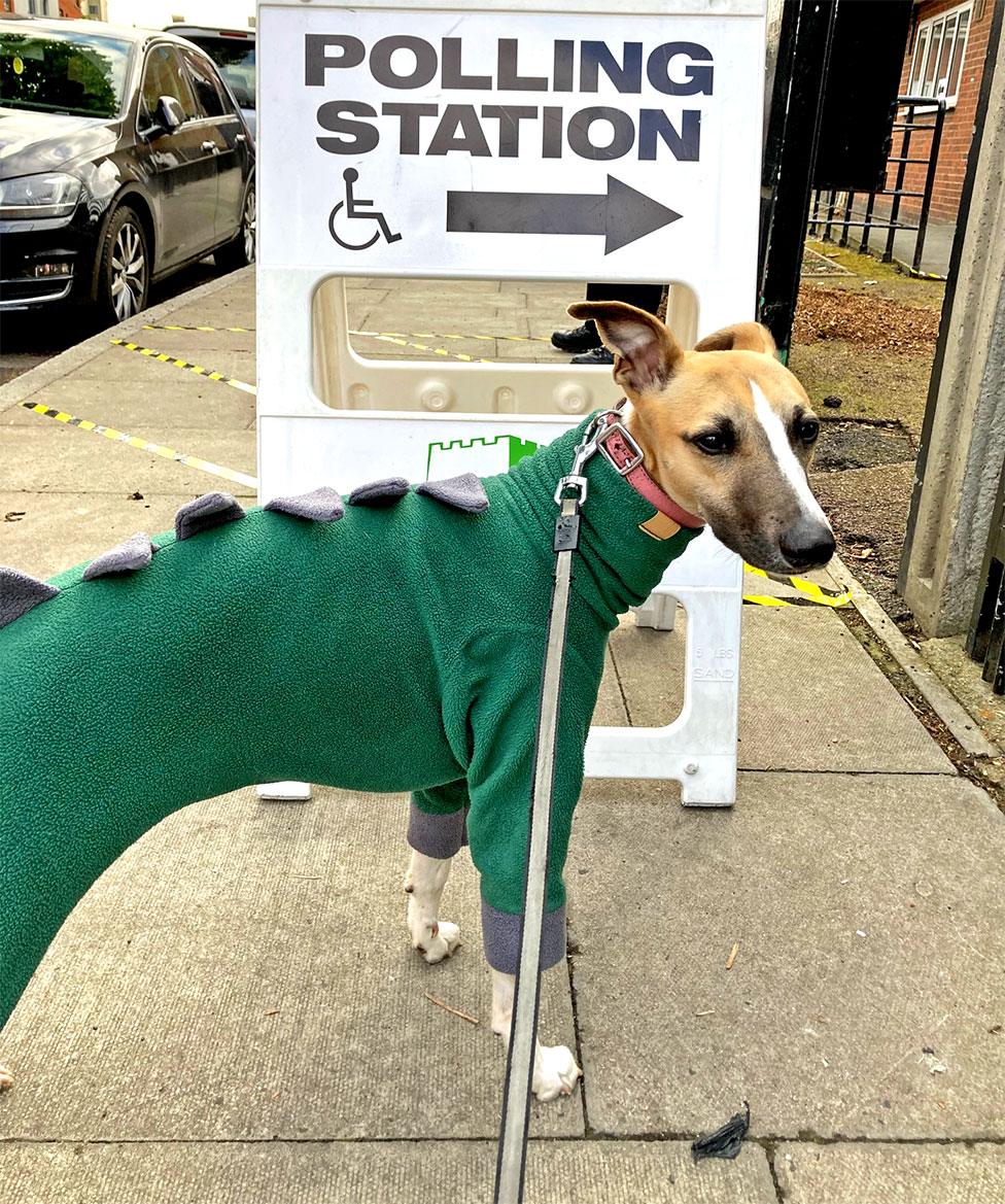 A dog poses next to a polling station sign in East London