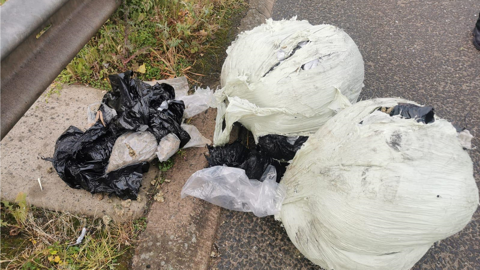 The cannabis which fell from the lorry