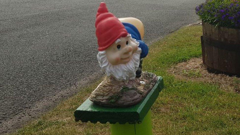 Gnome