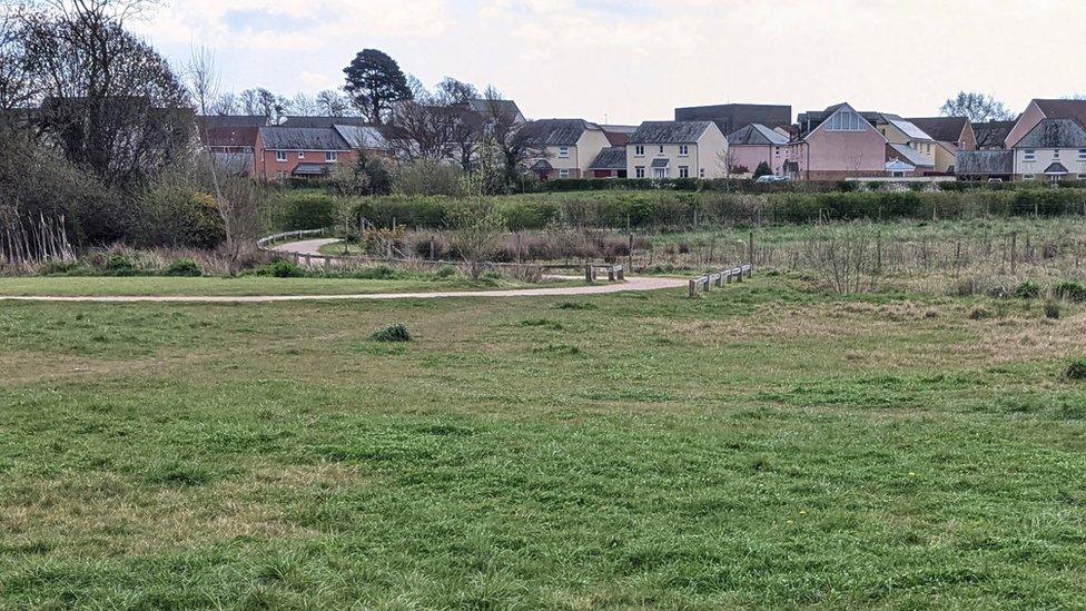 field with houses in background