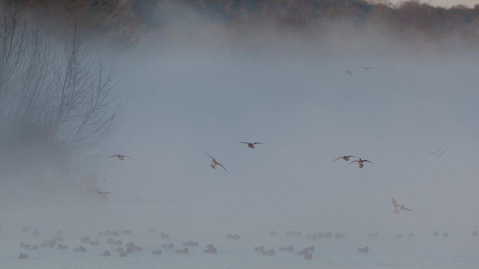 Thames at Port Meadow