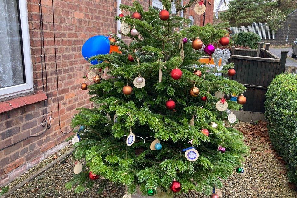 The tree in Droitwich