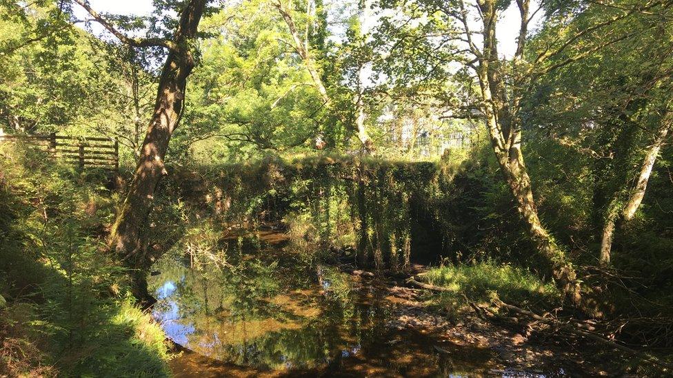 The wood's Ivy Bridge was once the main route to Harlech