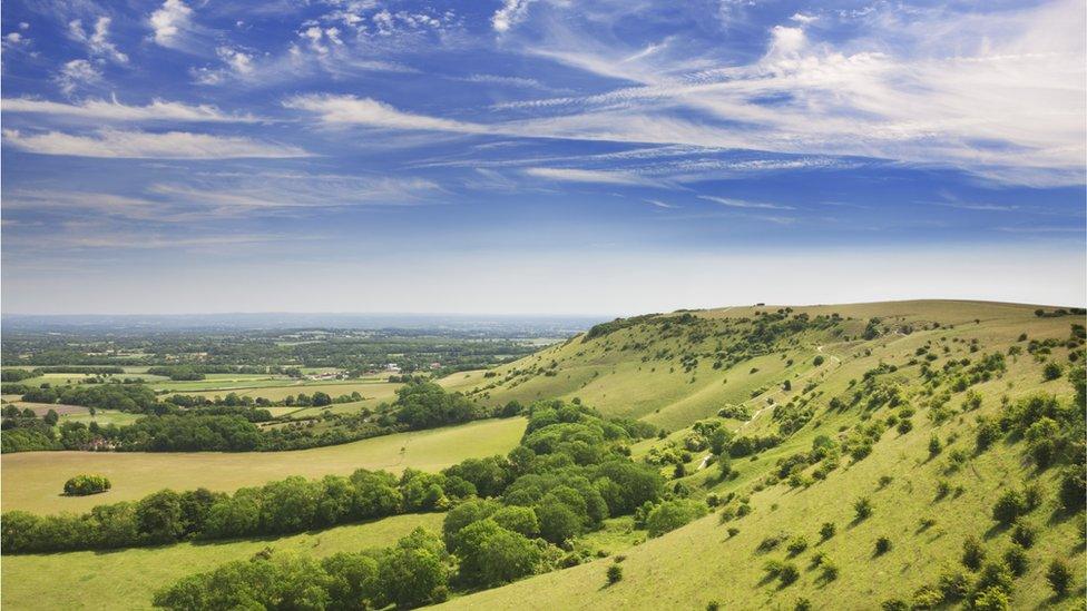 The South Downs