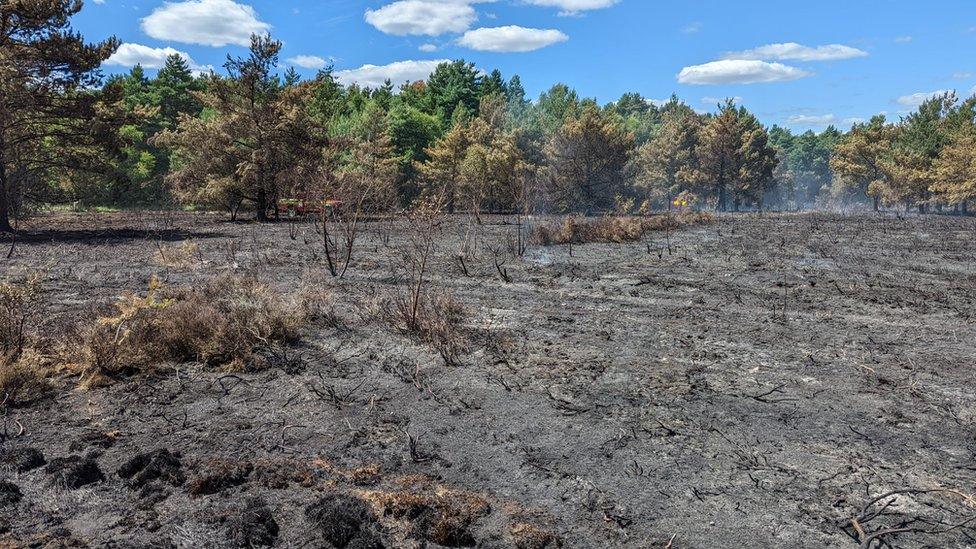 Burnt countryside