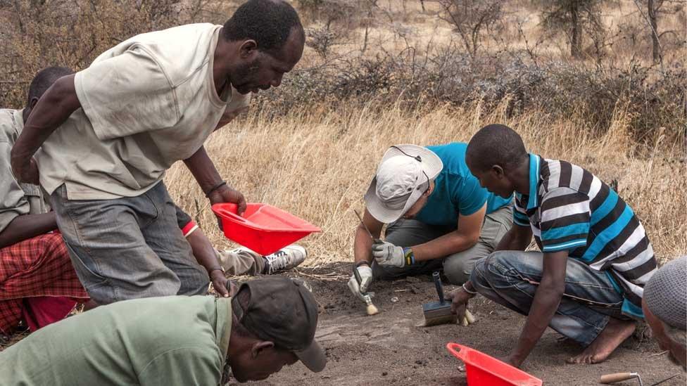 The footprints are a similar size to modern humans