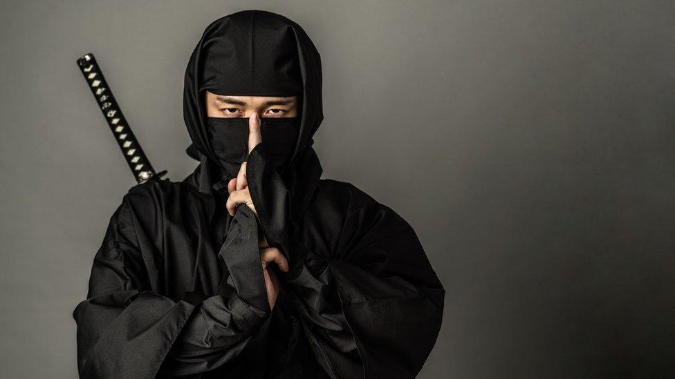 Ninja stock image