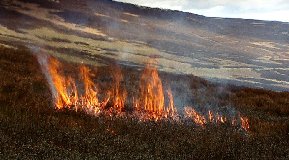 Controlled burning