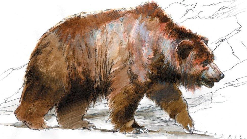 Artistic interpretation of a cave bear