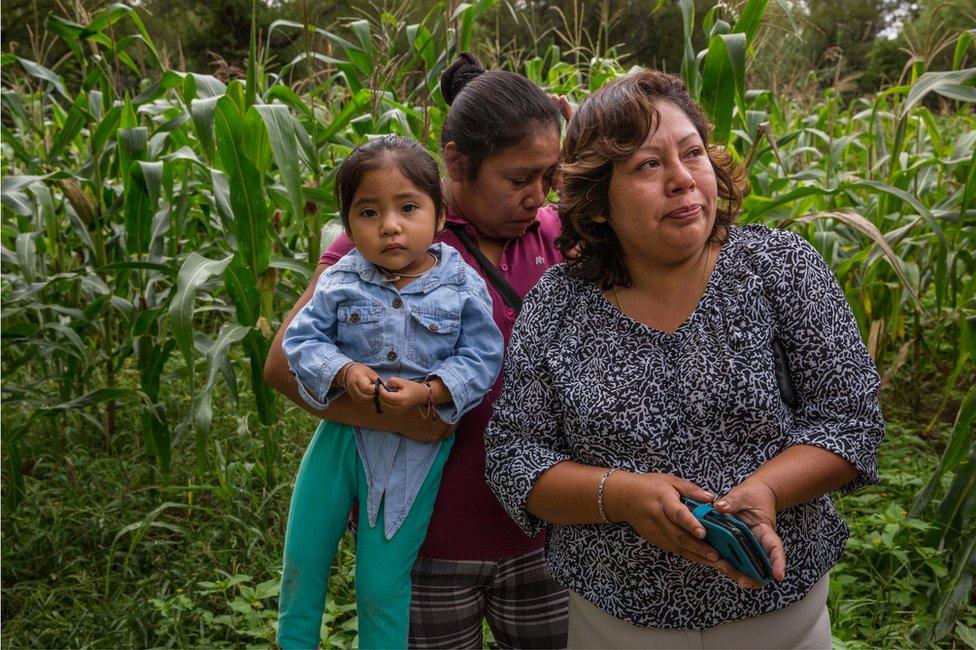 (L-R) Xiamara Kaori Flores, Jazmin Sanchez and Maria del Rosario Rodriguez, with marigolds flowers, to be used for Day of the Dead celebrations, on their family's ranch in Acatlán, Puebla