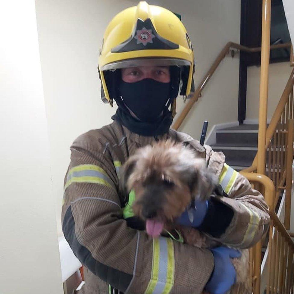 Sam the dog with a firefighter