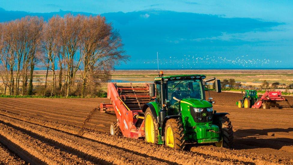 Tractor ploughing a field.