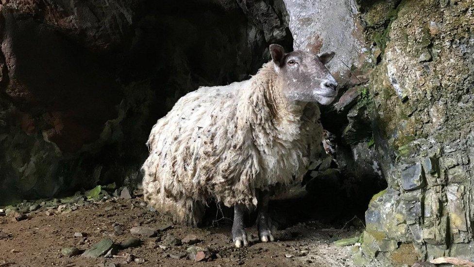 Fiona in cave