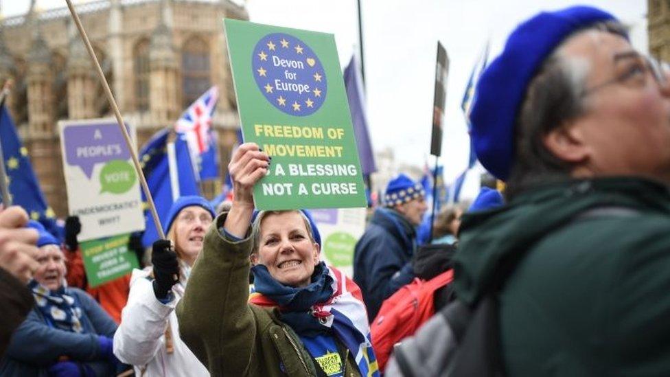 Pro-Brexit demonstrators