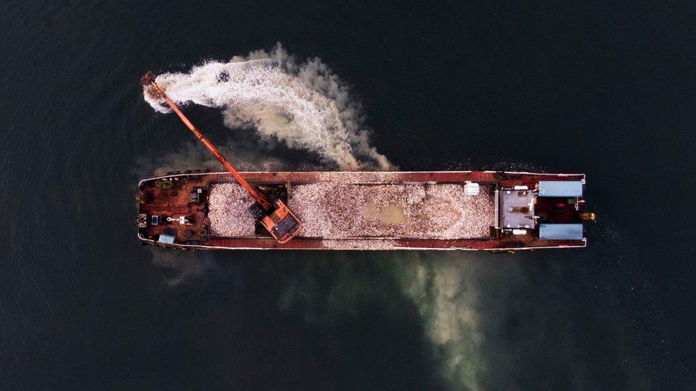 An aerial shot of the oysters being released from a boat