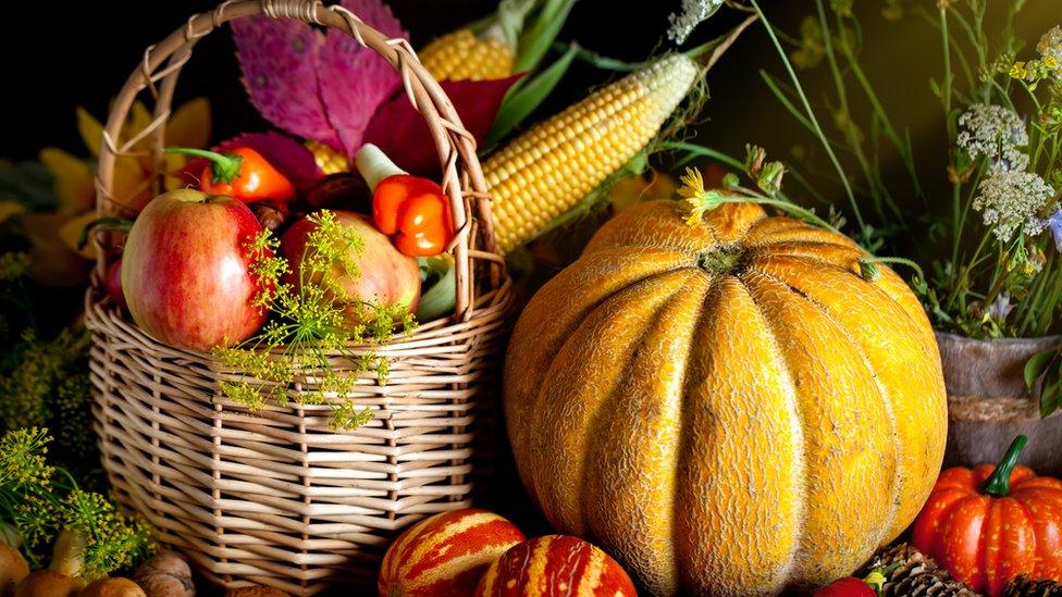 Harvested vegetables.