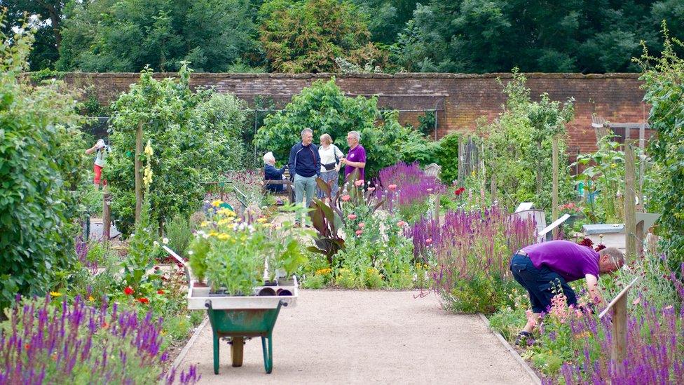 Guy's Cliffe Walled Garden