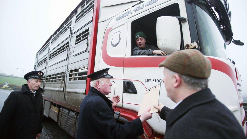 Irish border Brexit protest