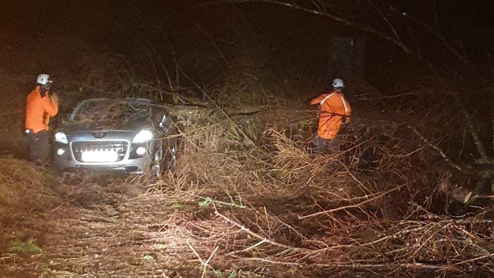 Men clear fallen tree off car