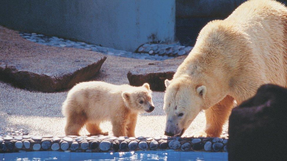 Inuka and mummy