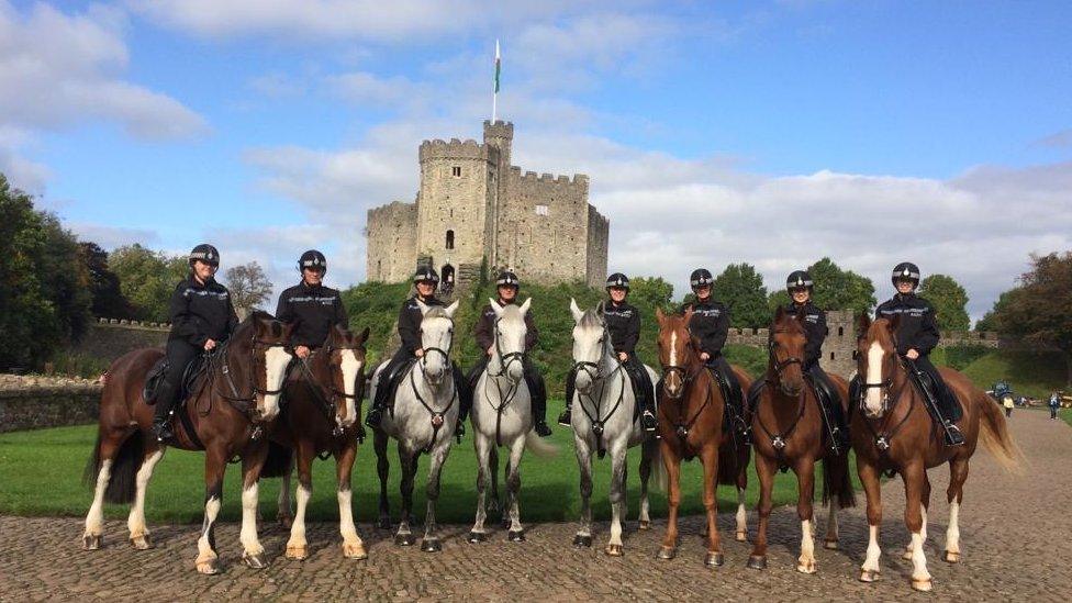 police horses inside Cardiff Castle