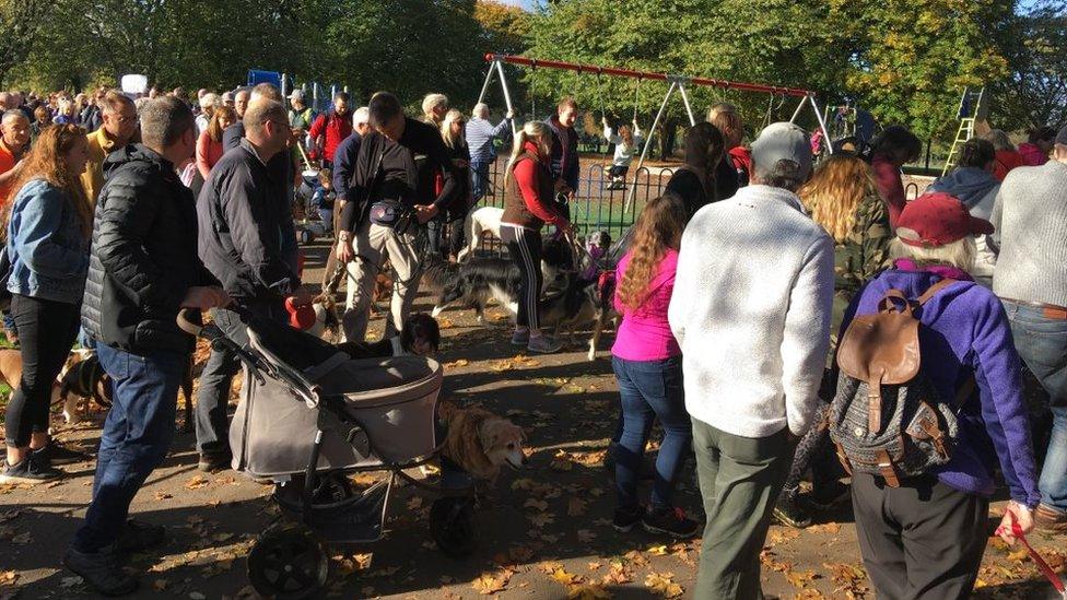 Protest perchnogion cŵn Caerdydd