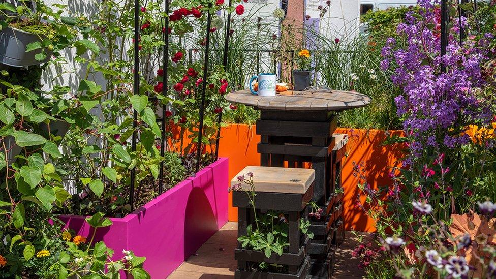 The Cirrus Garden at the RHS Chelsea Flower Show