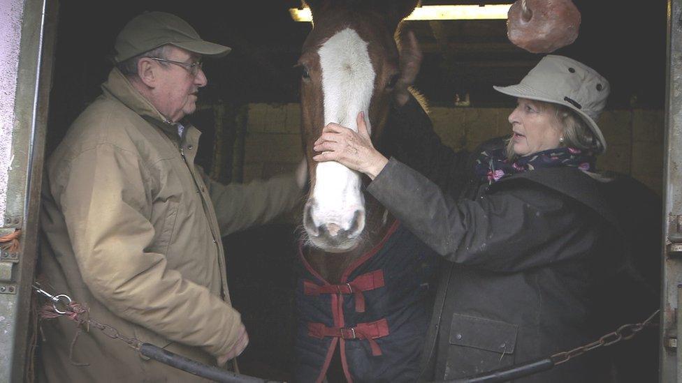 David Wallis and Robbie Bartington attend one of their horses inside a stable