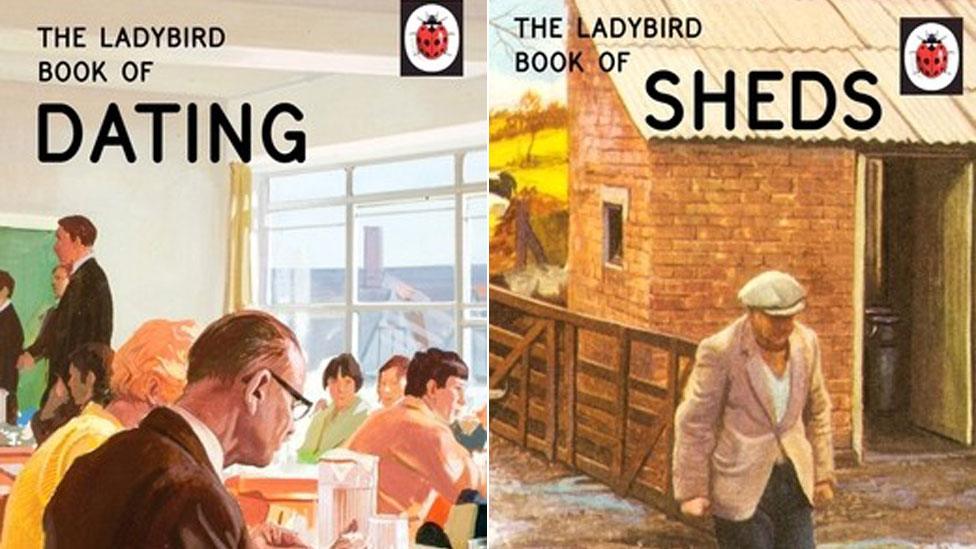 Ladybird Books for Grown-Ups series