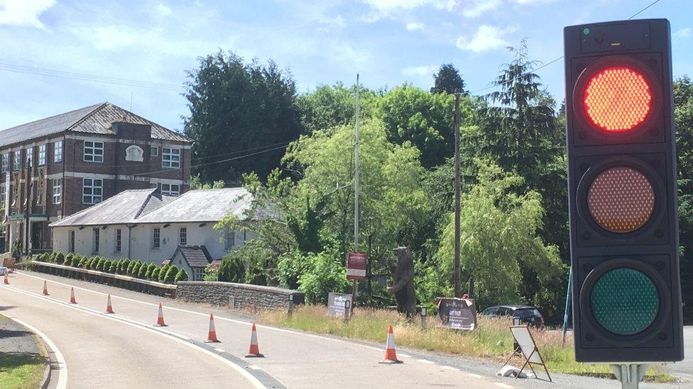 Traffic lights near the bear