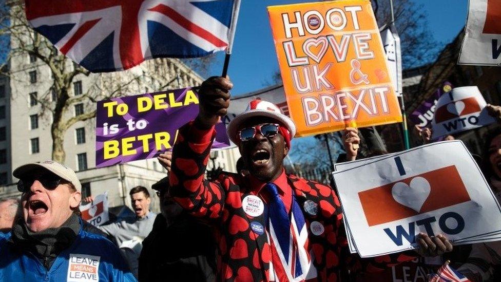 Pro-Brexit protestors