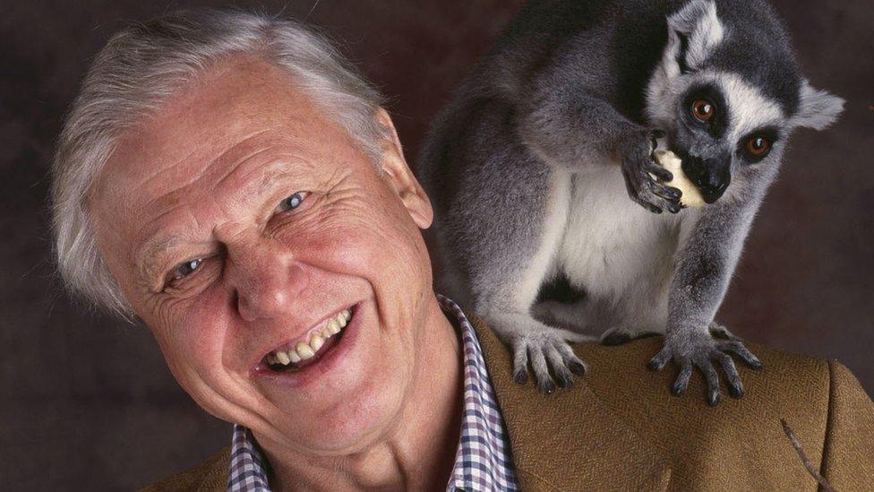 David Attenborough